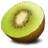 Kiwi Fruit Icon